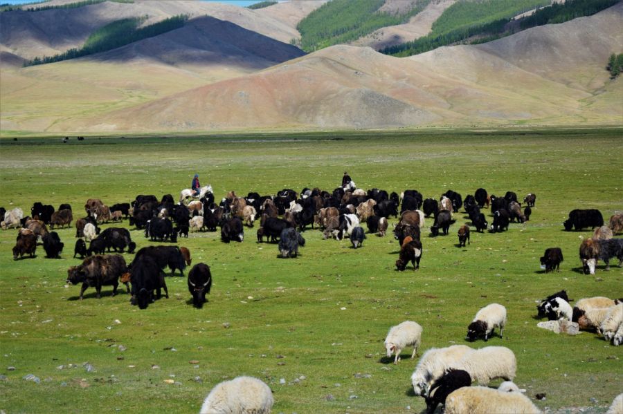 НИЙТ БЭЛЧЭЭРИЙН 33.3 ХУВЬ НЬ ДААЦ ХЭТЭРЧЭЭ