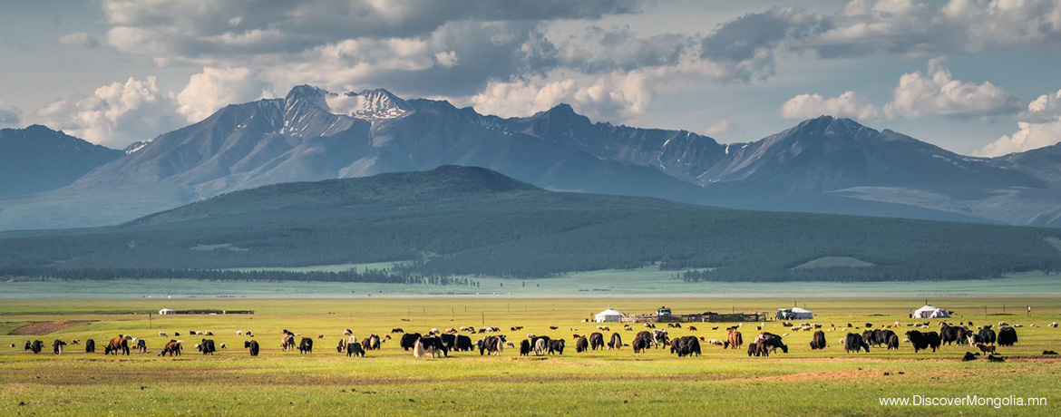 “TOURISM FORUM MONGOLIA 2021” БОЛОН “ITM 2021″ ОЛОН УЛСЫН АЯЛАЛ, ЖУУЛЧЛАЛЫН ҮЗЭСГЭЛЭН ЗОХИОН БАЙГУУЛНА