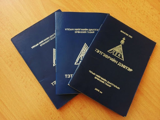 ХАЛАМЖИЙН ТЭТГЭВЭР, ТЭТГЭМЖ ОЛГОХ ЖУРМЫГ ШИНЭЧИЛЛЭЭ